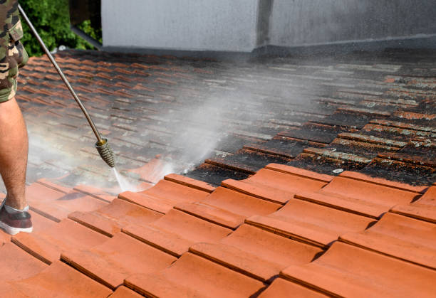 Best Power Washing Near Me  in Newark, CA