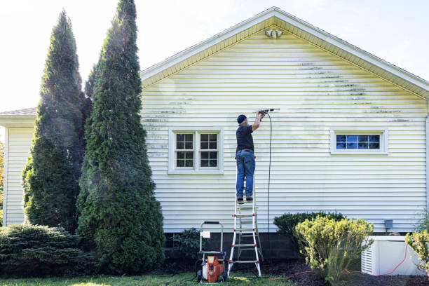 Best Roof Pressure Washing  in Newark, CA